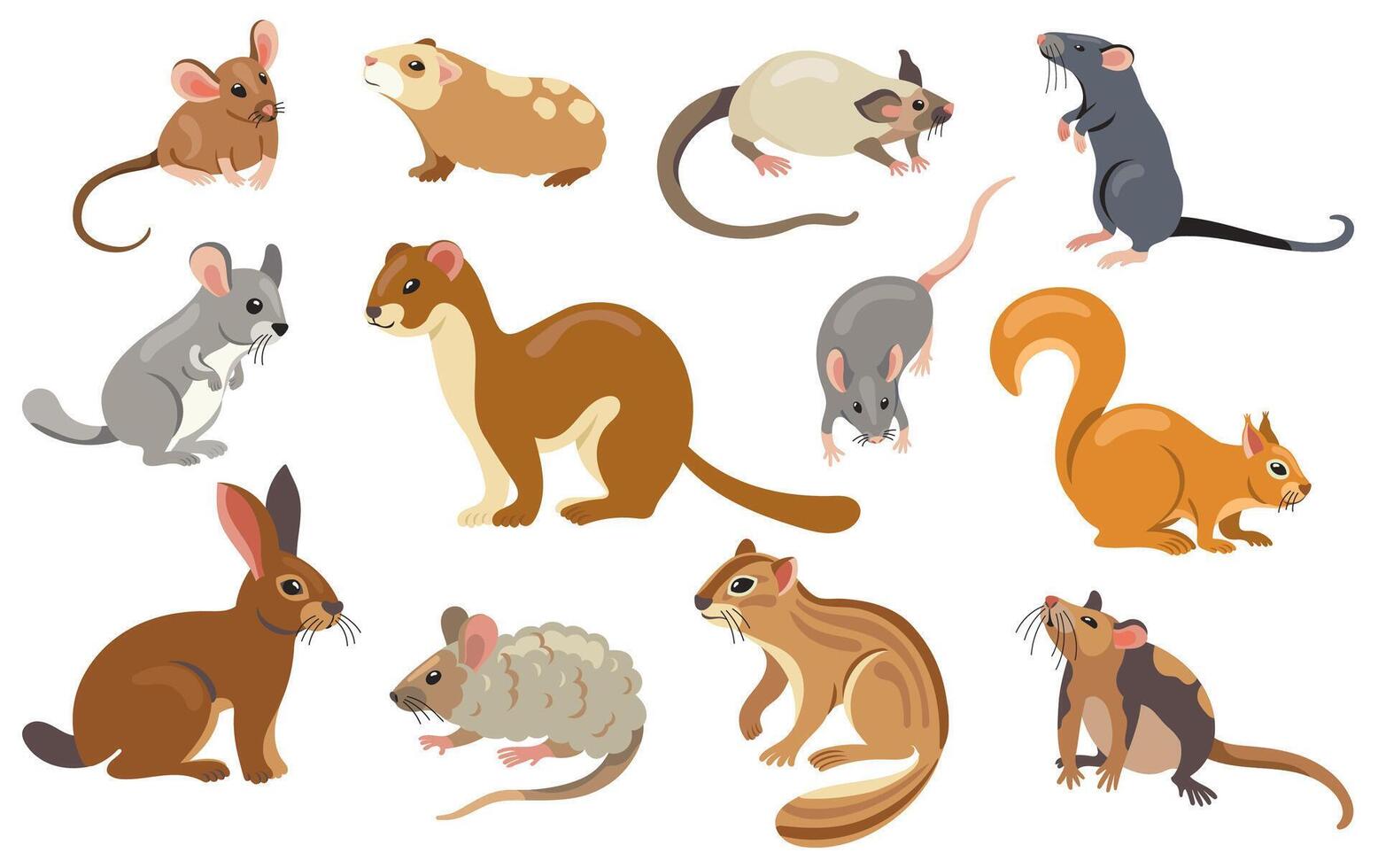 Illustrations of small mammals and rodents vector