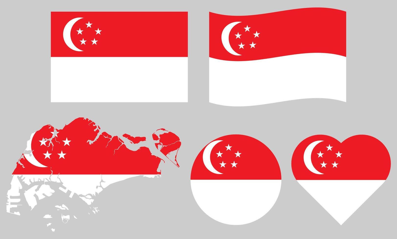 Collection of Singapore Flags Asian Country vector