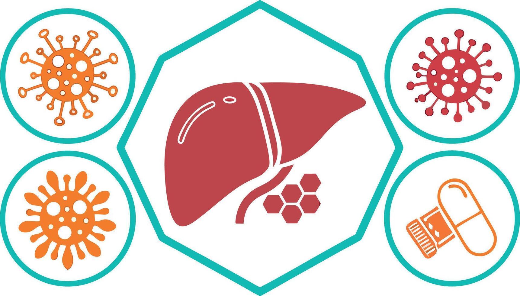 The liver is surrounded by different types of viruses vector