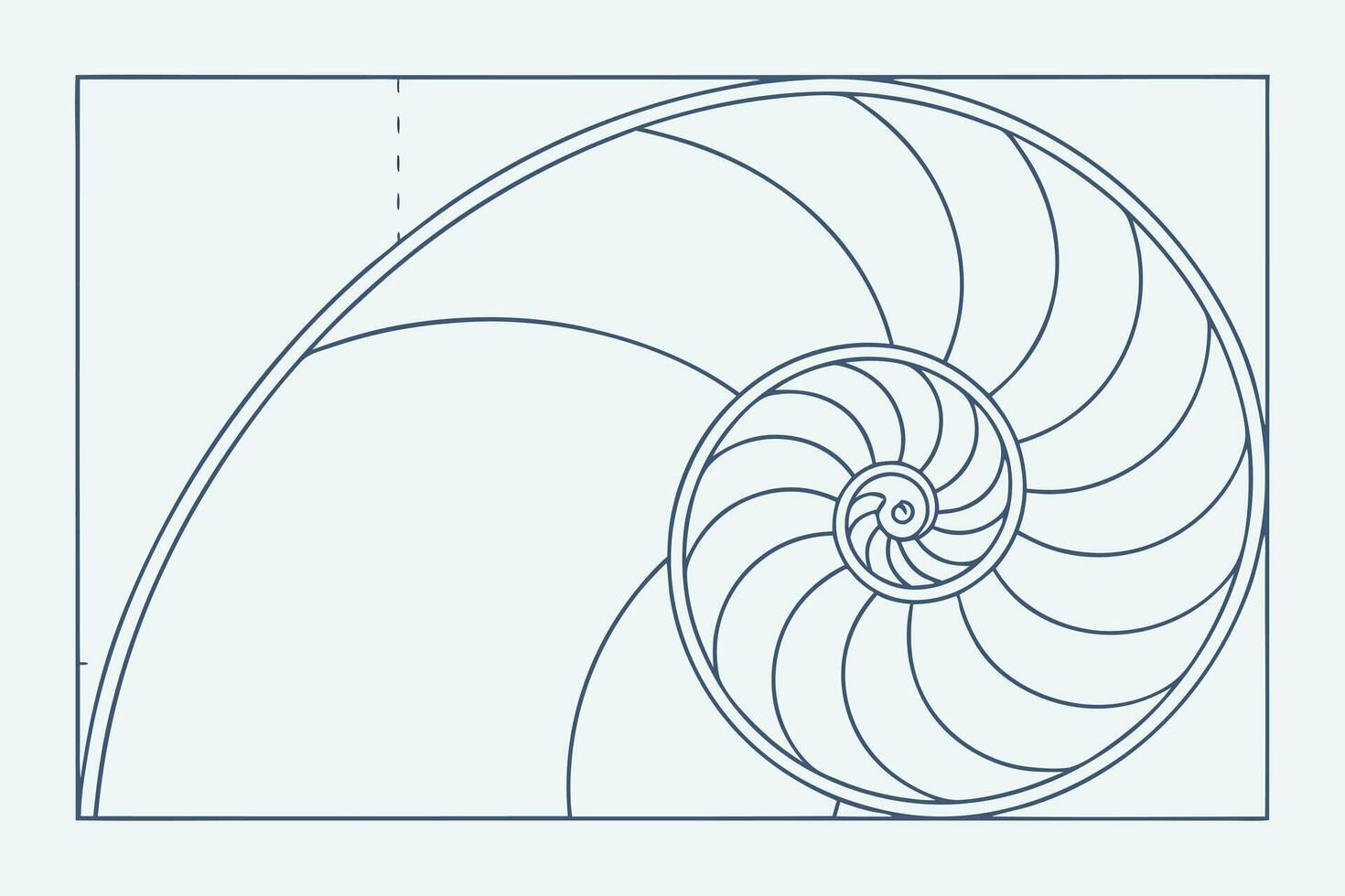 A drawing of a spiral shell vector
