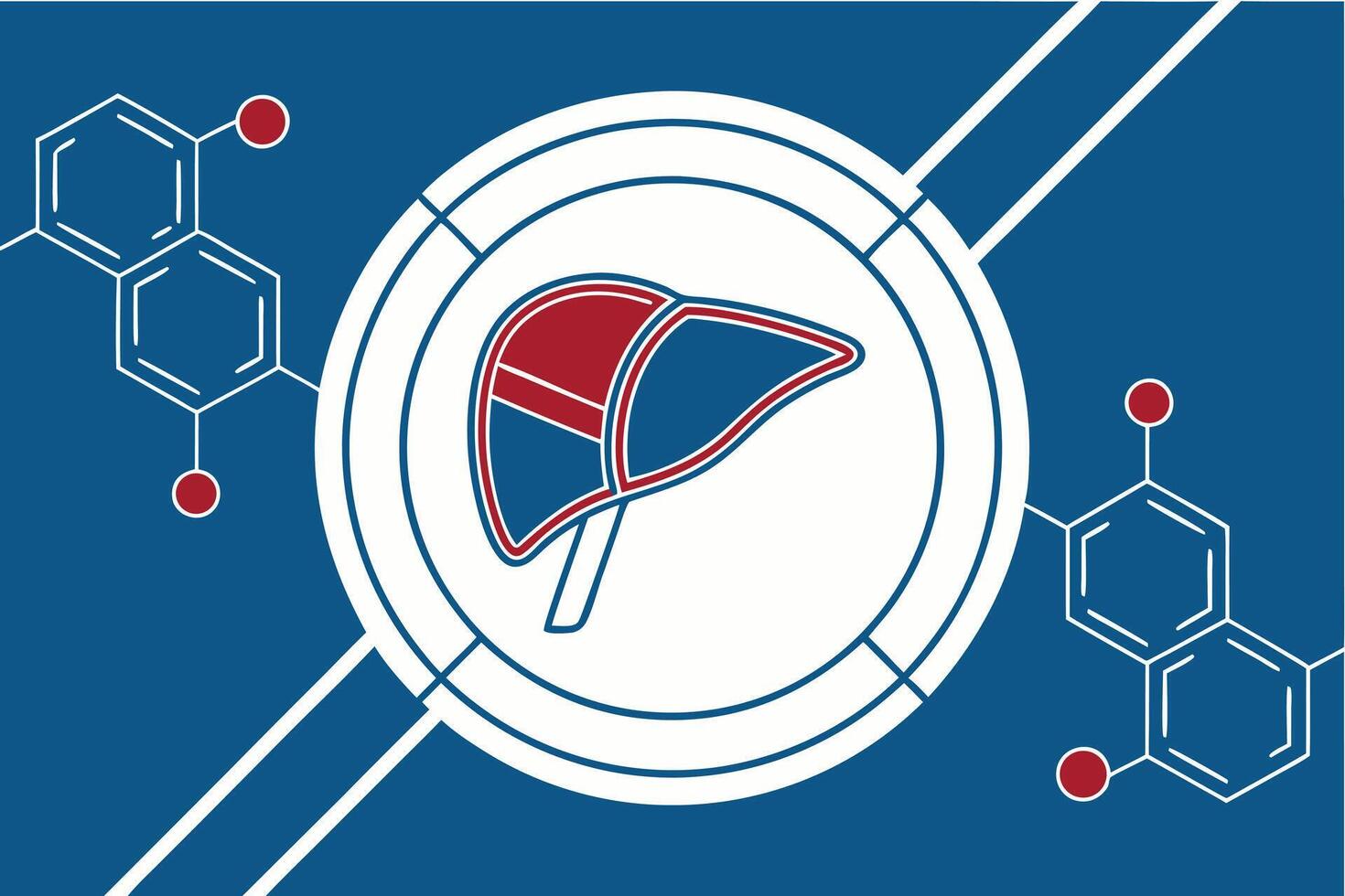 A liver and a red and blue circle with a red and blue arrow vector