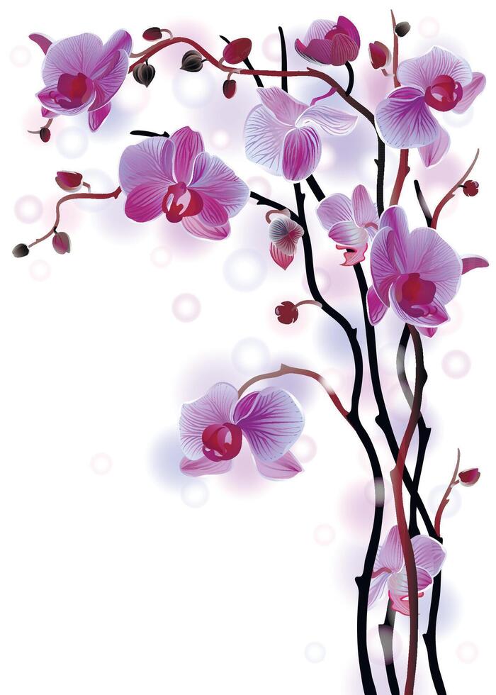 Purple orchids with elegant design vector