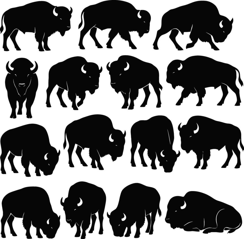 , buffalo silhouette set, wild bison poses, bison collection black, vector