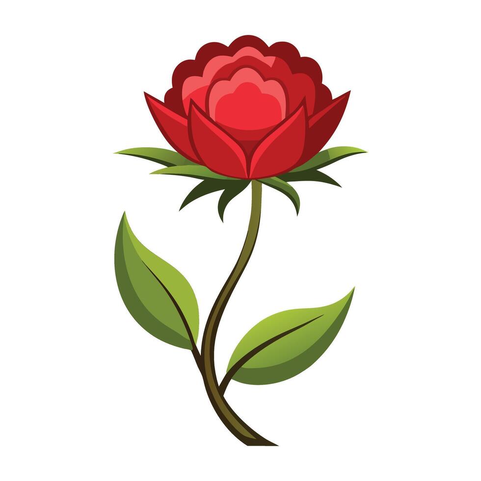 red rose flower with green leaves illustration vector
