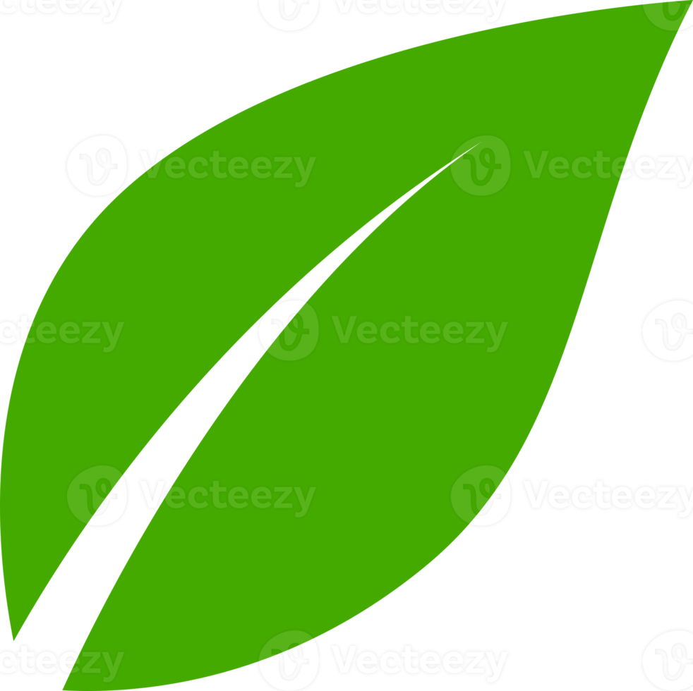 Green leave leaf tree png