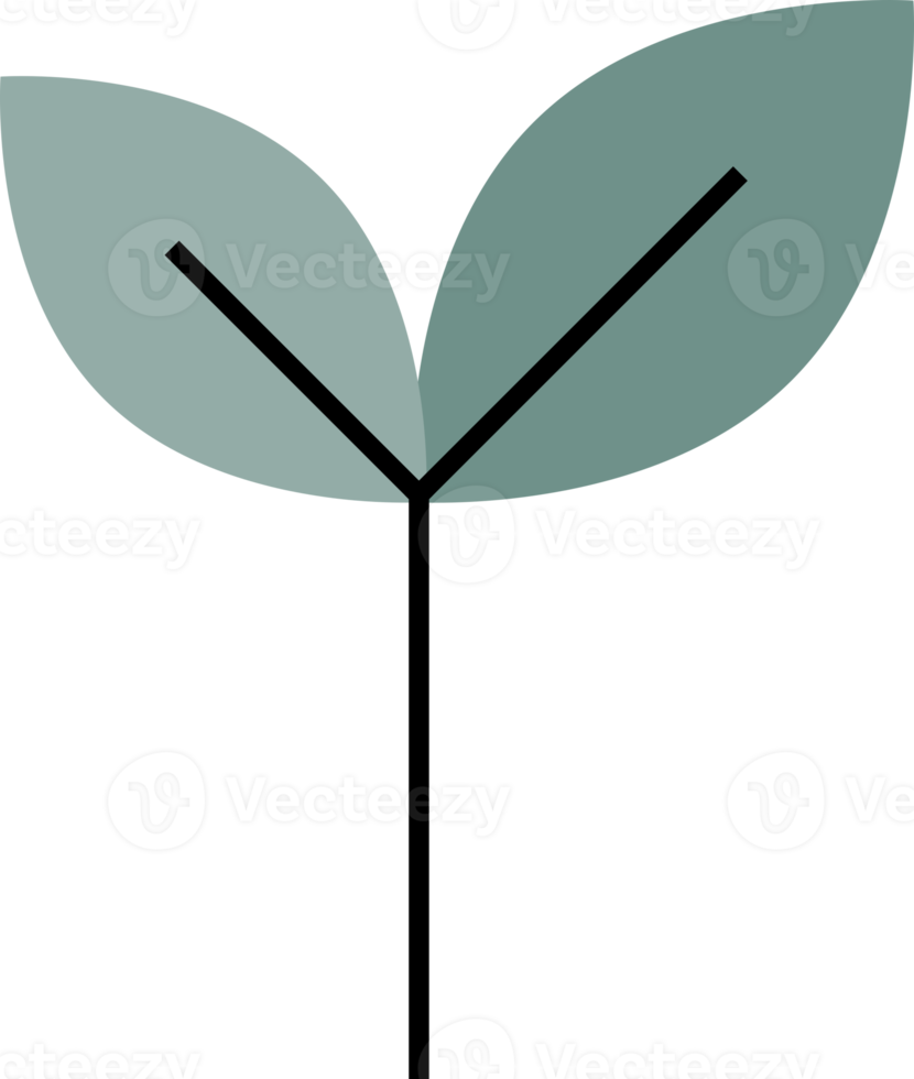 Gray tree icon png