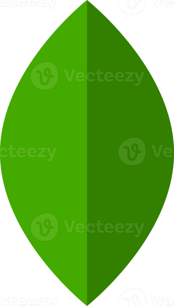 leaf tree green png