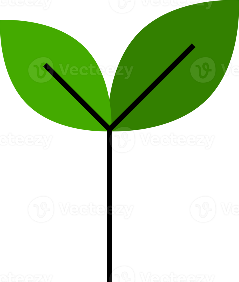 Icon green tree png