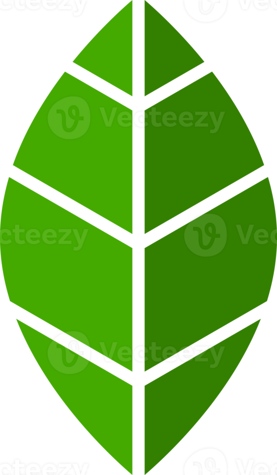 Green leaf tree png