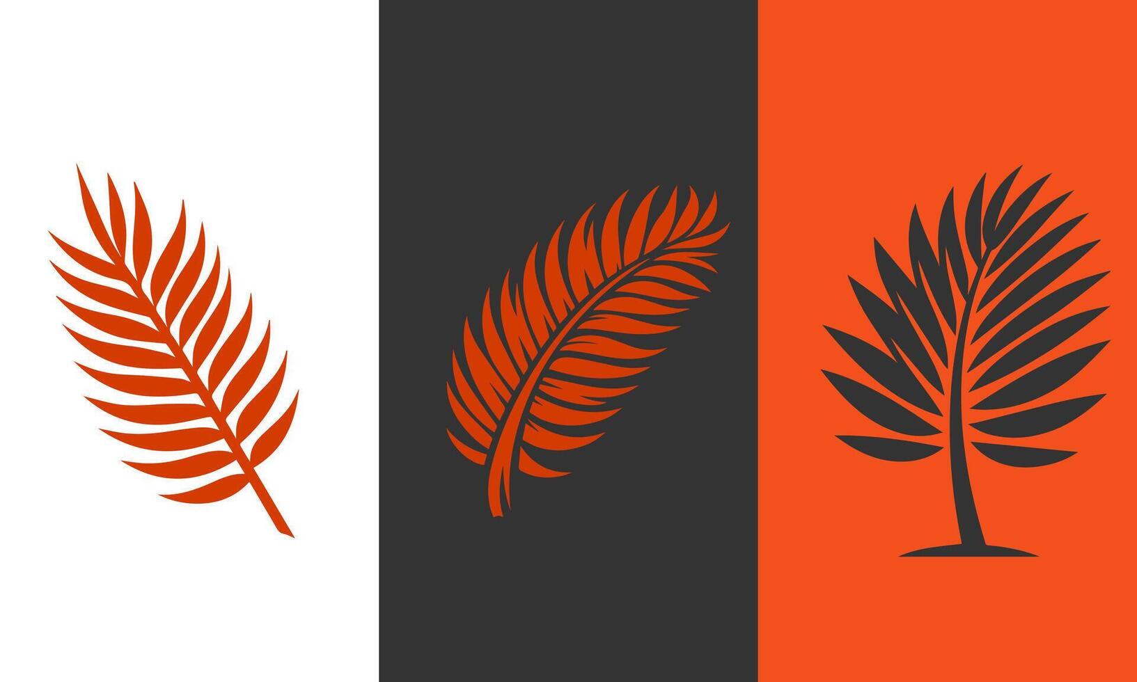 Three stylized palm fronds in orange and dark gray on white backgrounds vector