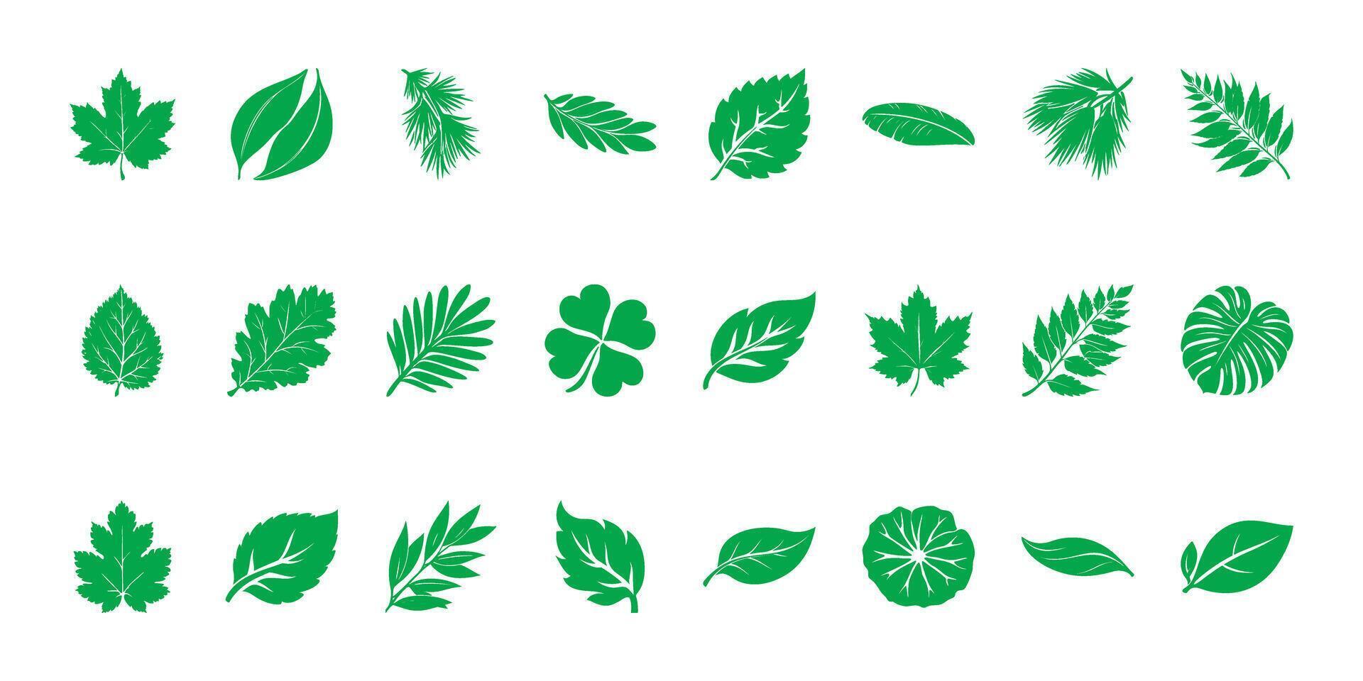 Leaf Silhouette Collection Set. Botanical Diversity And Nature Elements Collection. Isolated Illustration vector
