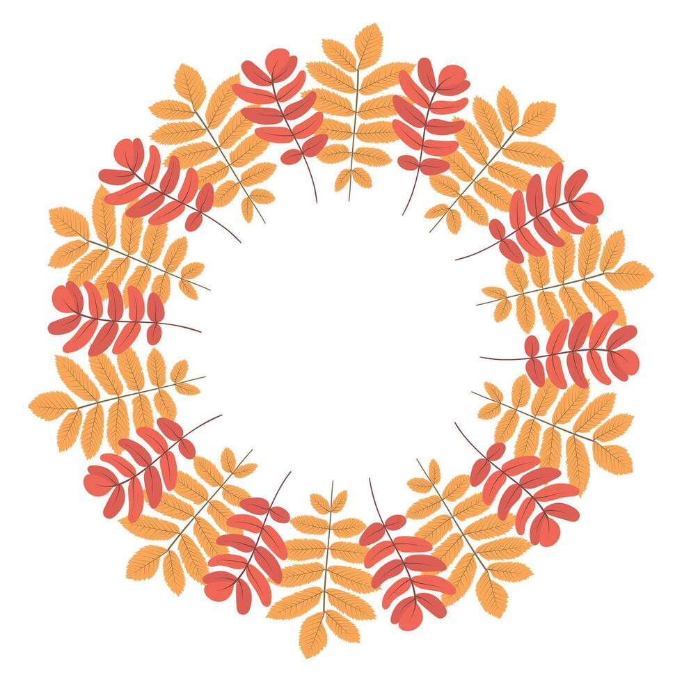 Yellow and red rowan circle frame. vector