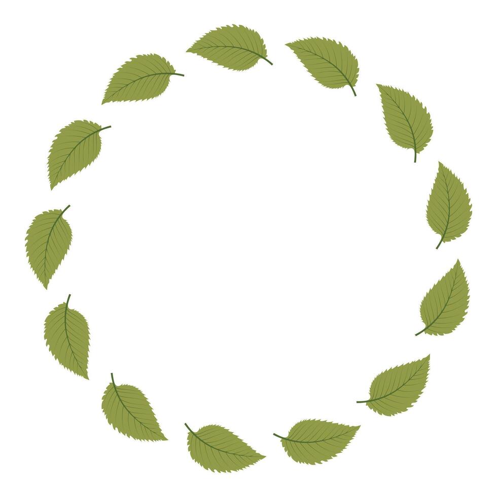 Green leaves circle frame. vector