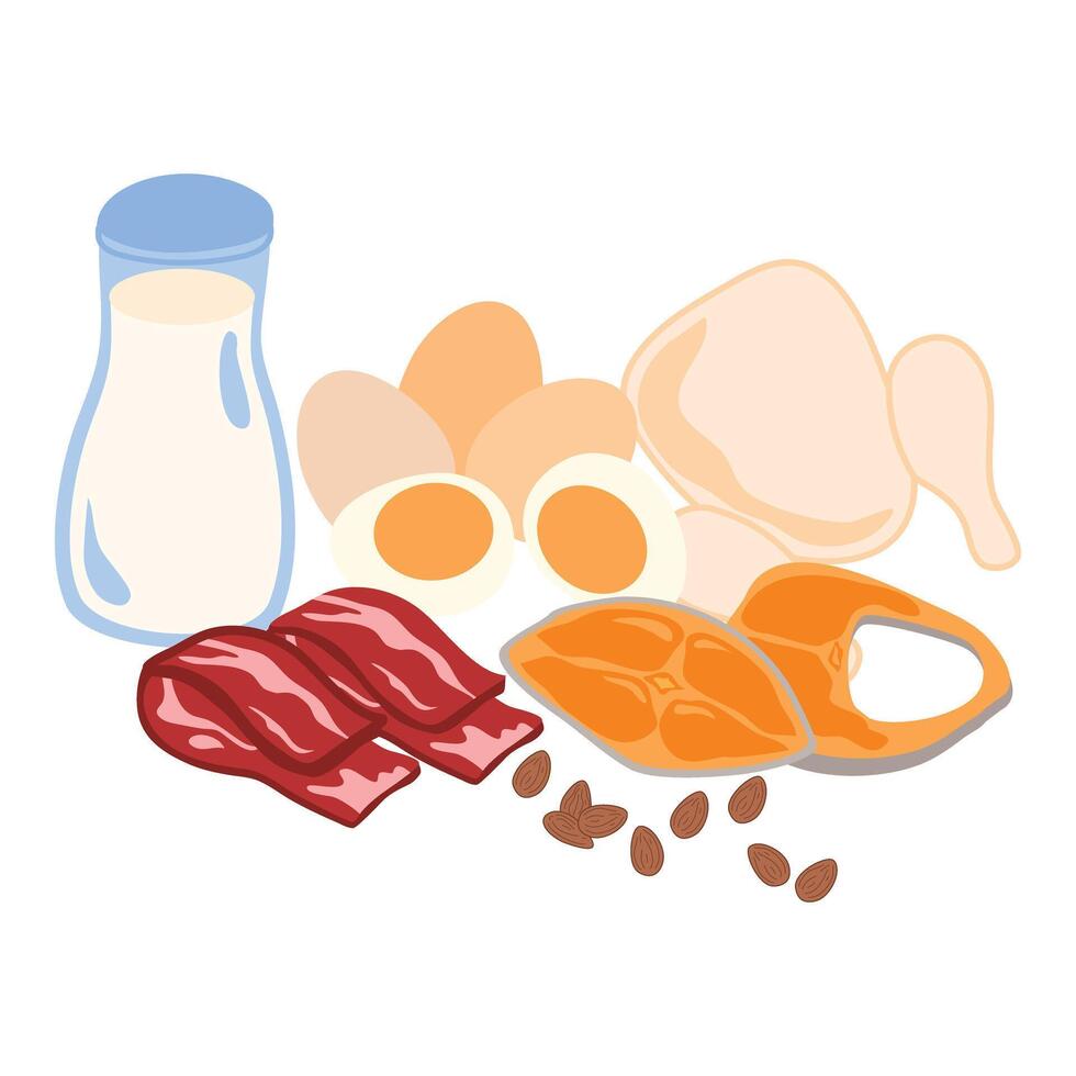 Protein Rich Food group Illustration vector