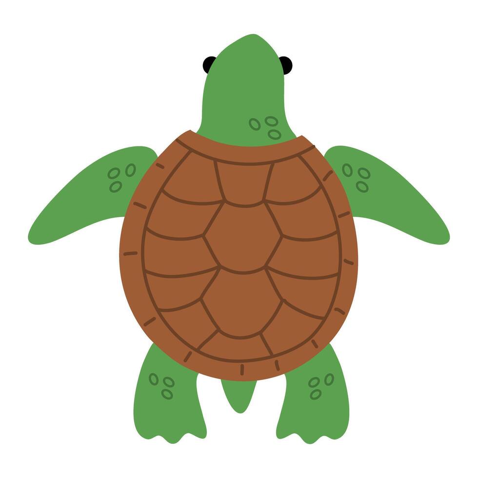 Turtle marine animal icon. Sea turtle vector