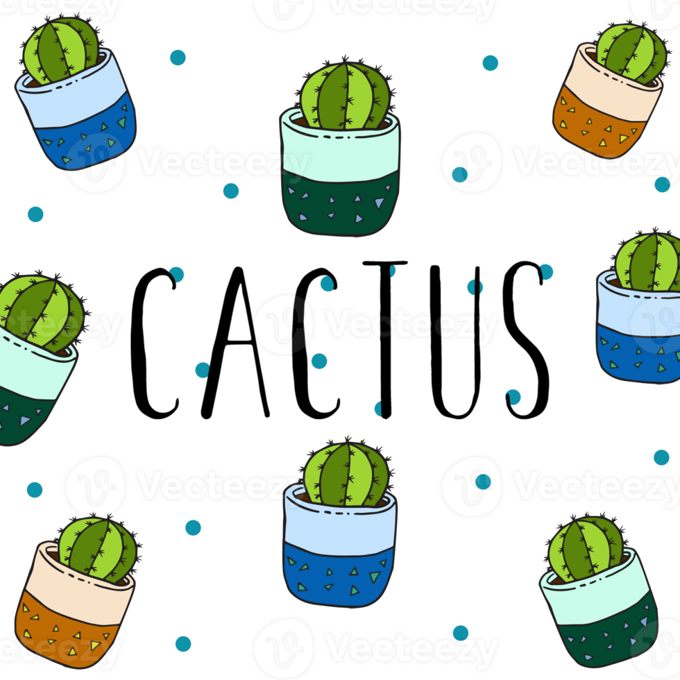 Cactus pattern illustration png