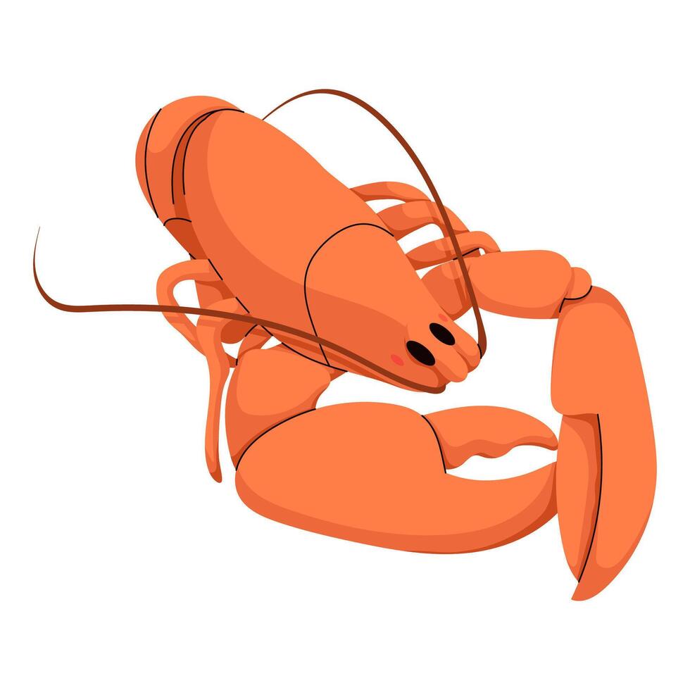 Flat Cartoon Lobster vector