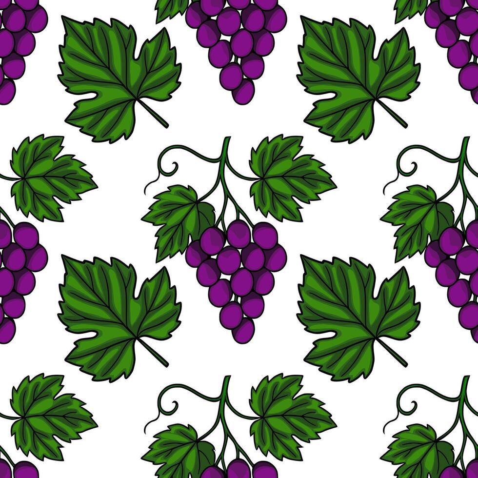 Seamless pattern of hand drawn bunches of purple grapes and green vine leaves, creating a vibrant and fresh design ideal for various applications. vector