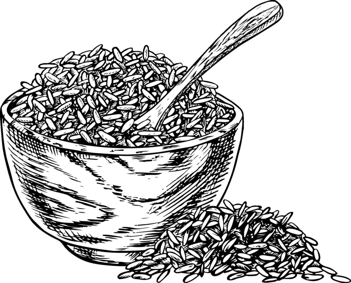 Rice or oats, wheat or rye in a wooden bowl. Black and white graphics, illustrations. Design element for menus, recipes, and cookbooks. For banners, flyers, packaging, labels, and more. vector