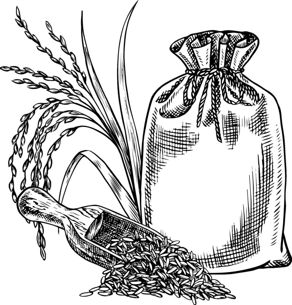 Burlap bags and a wooden scoop with rice or oats, wheat or rye. Black and white graphics, illustrations. Design element for menus, recipes and cookbooks. For banners, flyers, packaging, labels. vector