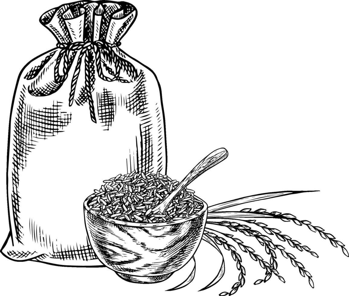 Burlap bag and a wooden bowl with rice or oats, wheat or rye. Black and white graphics, illustrations. Design element for menus, recipes, and cookbooks. For banners, flyers, packaging, labels. vector