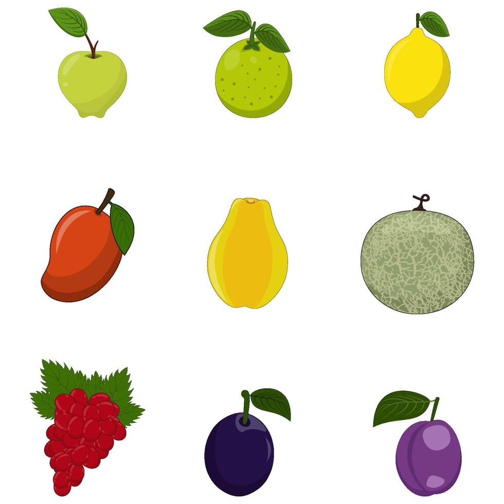 Set of Tropical and Seasonal Fruit Illustration in Flat Cartoon Style vector