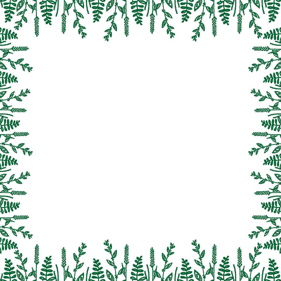 Summer meadow frame. Trendy botany graphic template. vector