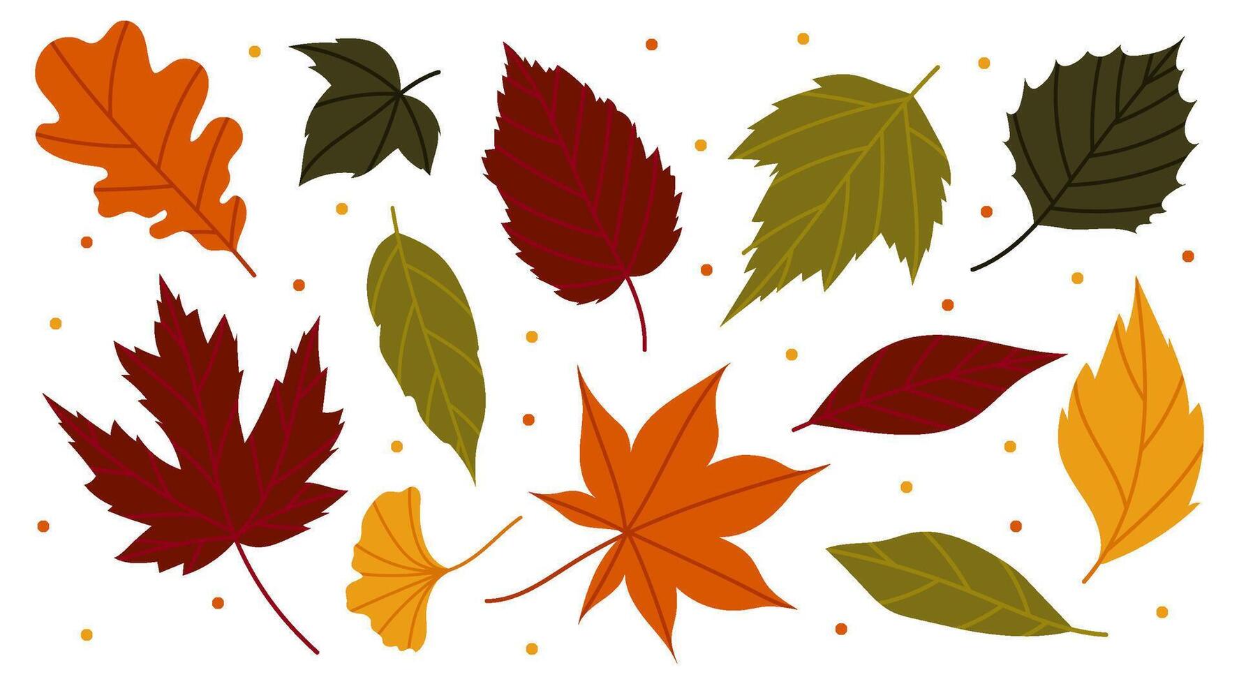 Set of different leaves of maple, oak and other trees. Autumn leaves. Autumn decoration in flat style. Yellow, red, orange fall leaf for pattern, banner, sticker. Hello autumn vector