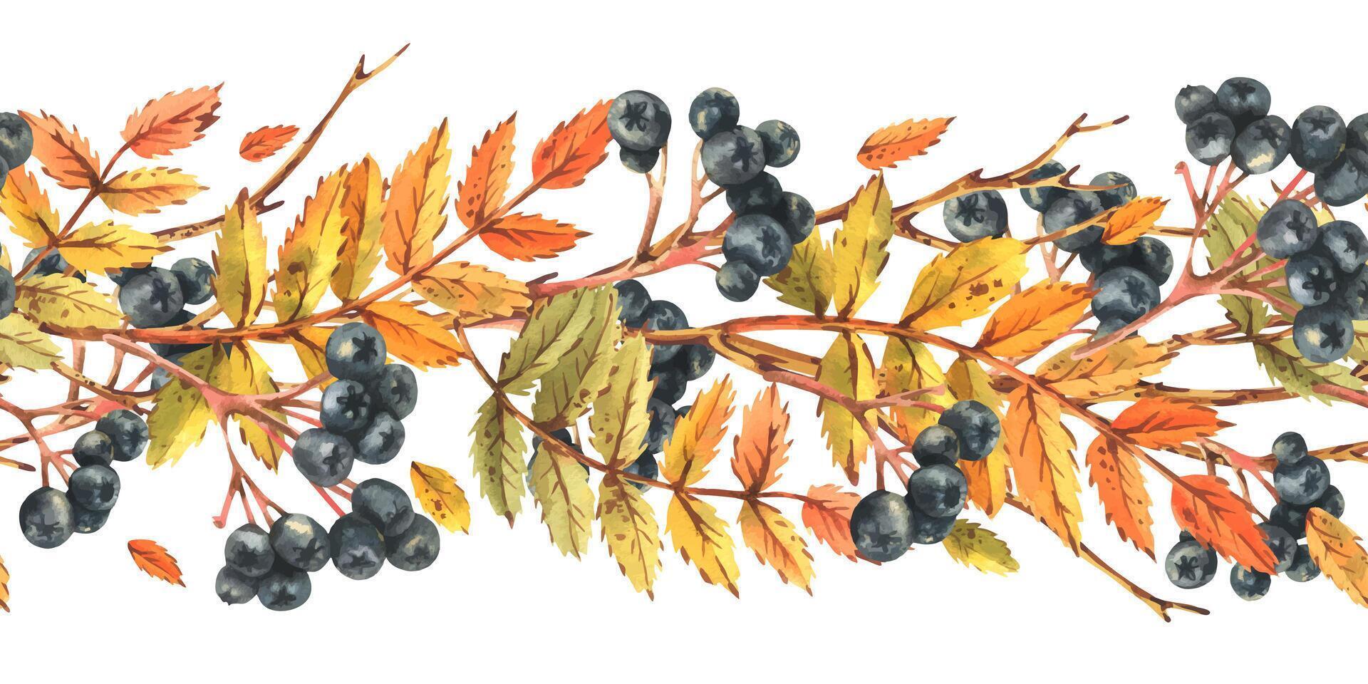 autumn leaves and berries illustration vector