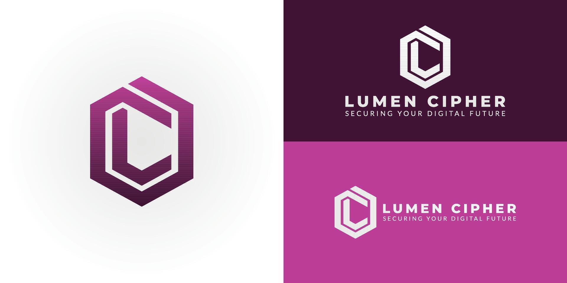 This modern hexagon logo represents our commitment to cybersecurity and software development, embodying secure, innovative solutions tailored for the ever-evolving digital landscape. vector