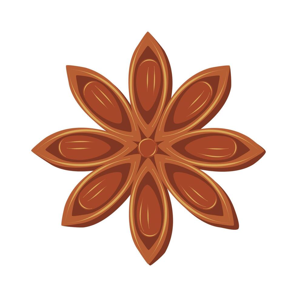 Star anise isolated on white background. Spice for drinks and food. vector