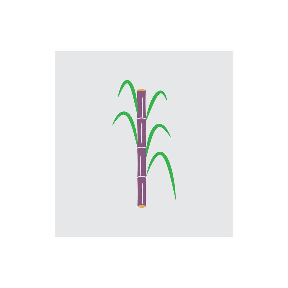 Sugarcane logo and symbol design vector