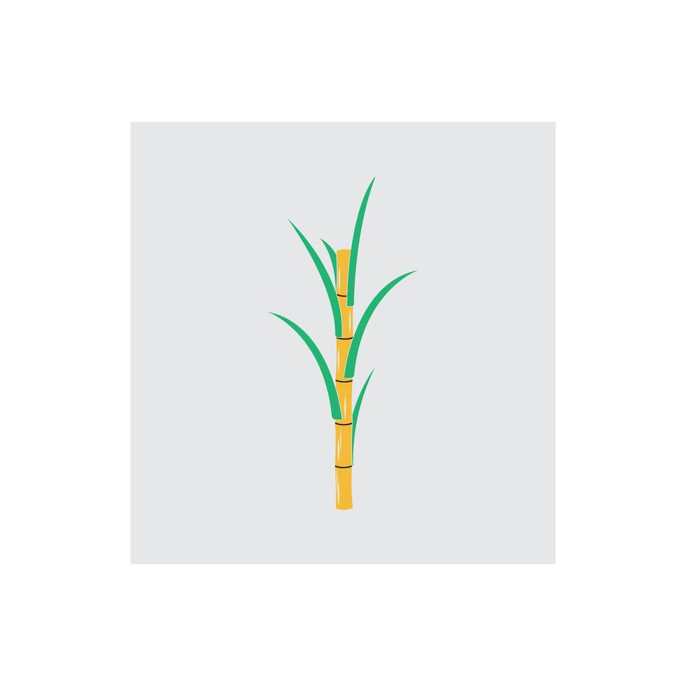Sugarcane logo and symbol vector
