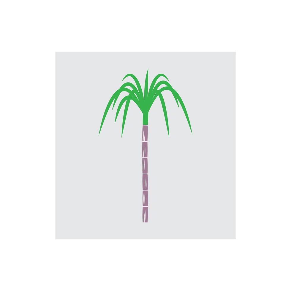 Sugarcane logos and symbol design vector