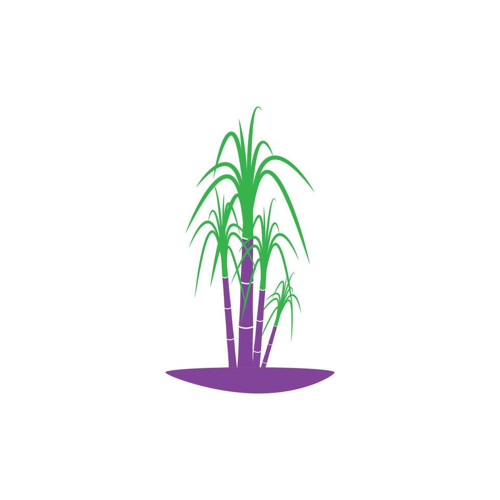 Sugarcane simple whit logo and symbol design vector