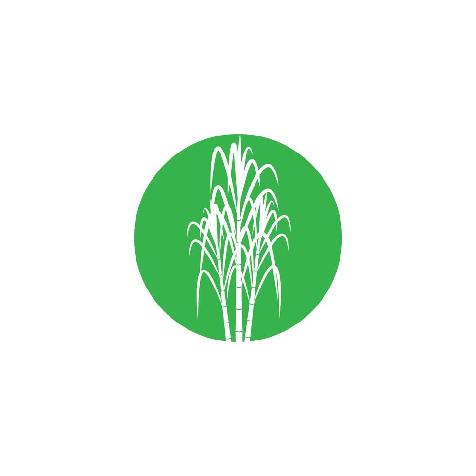 Sugarcane stylized logo and symbol design vector