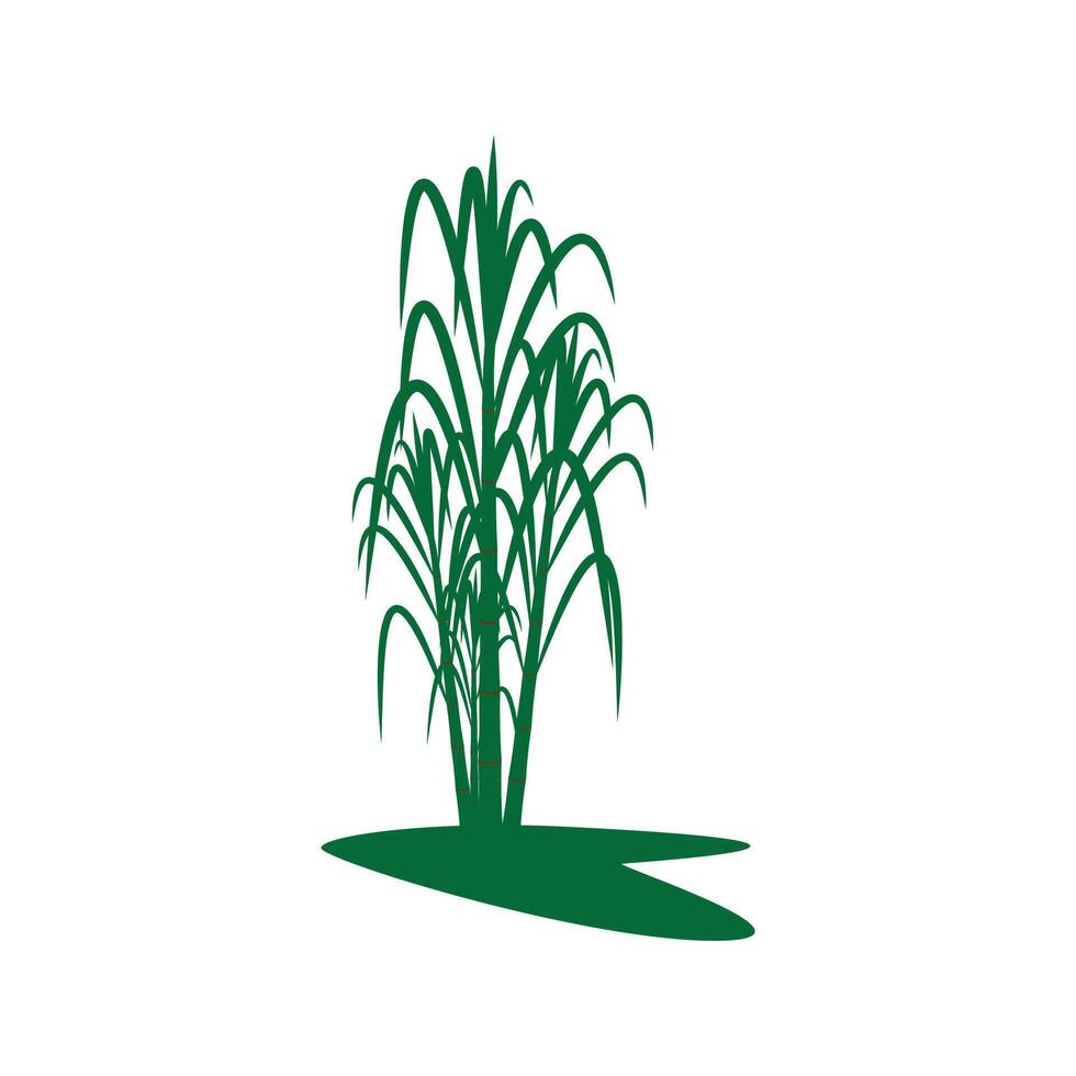 Sugarcane with logo and symbol design vector