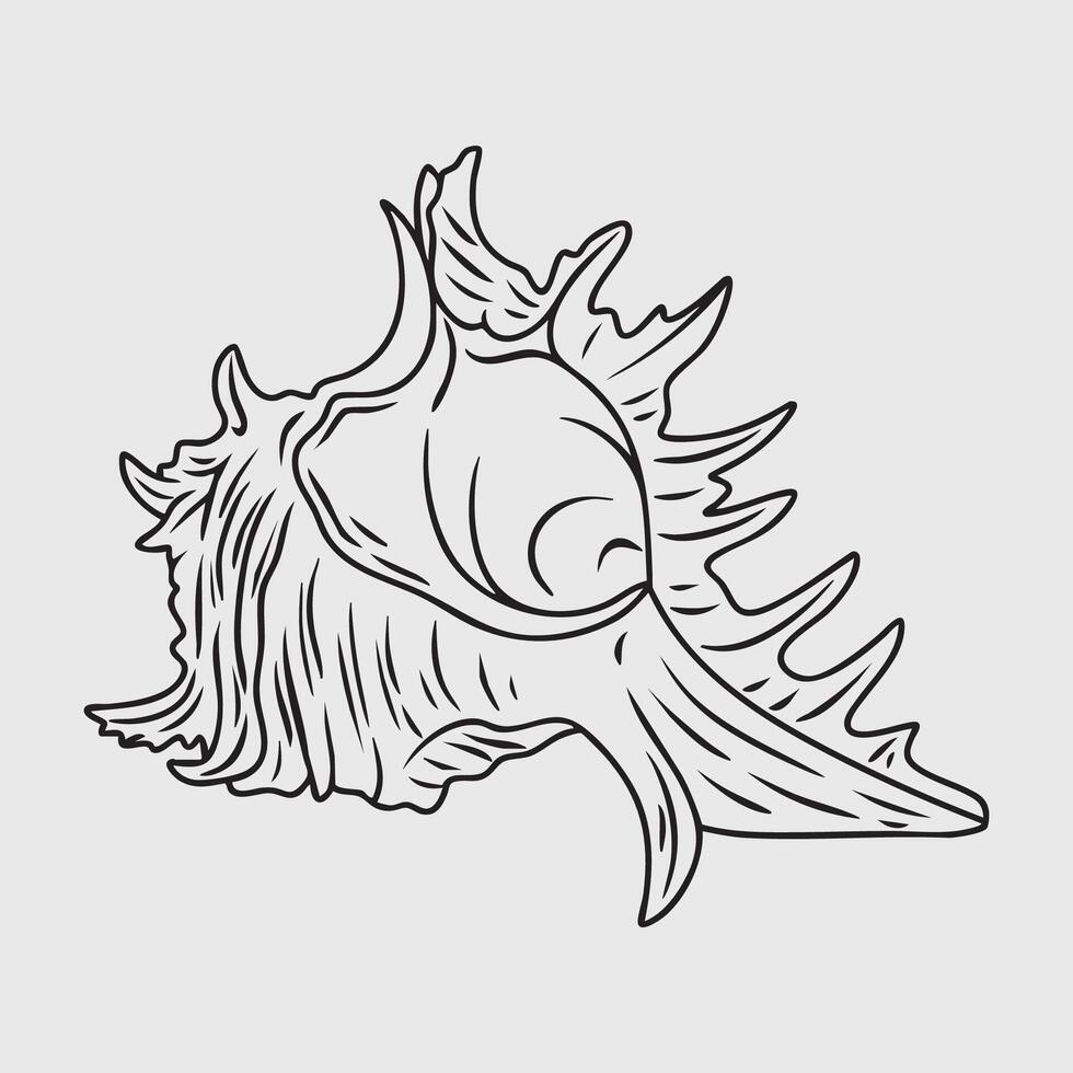 Thin Line Illustration of Murex Shell vector