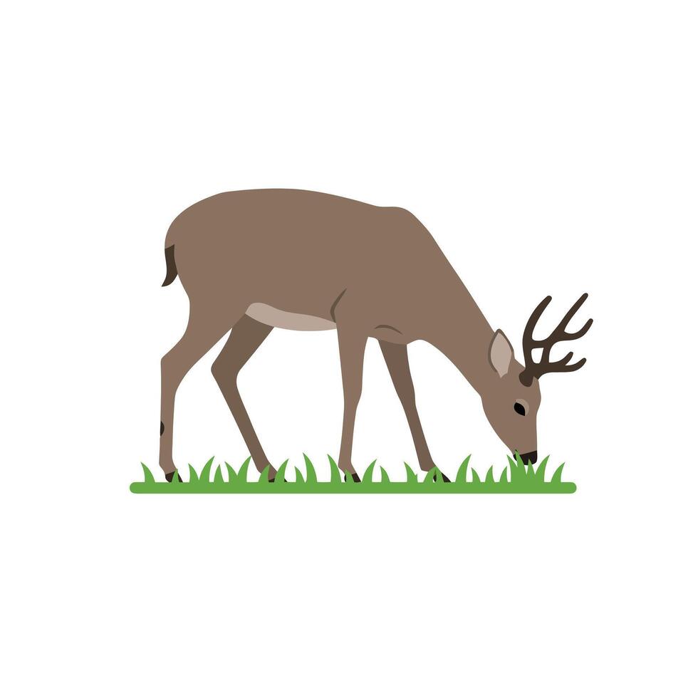 Brown Deer with Antlers Eating Grass Minimal Design vector