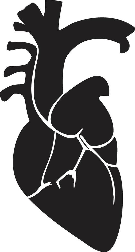 Simplified Illustration of the Human Heart vector