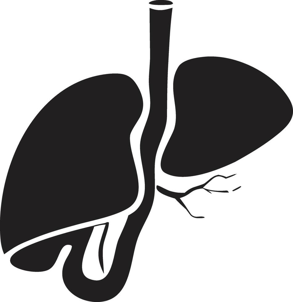 Simplified Illustration of Human Digestive and Respiratory OrgansPrint vector