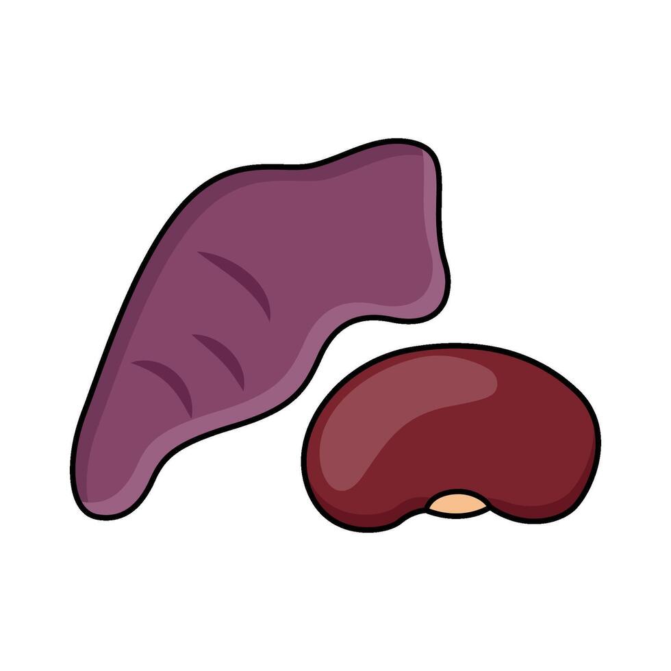 illustration of Fiber Rich Food vector