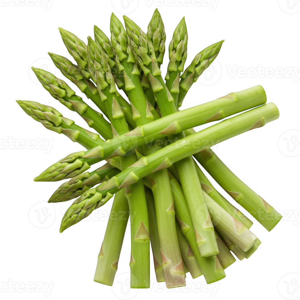 Isolated Fresh Green Asparagus Spears Transparent Background png