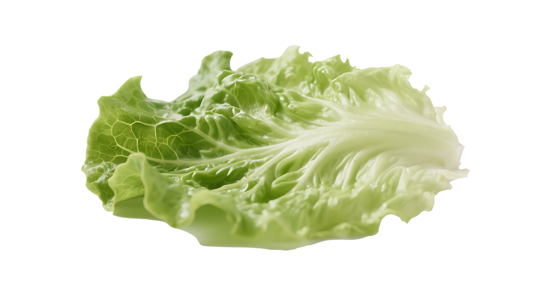 Transparent Green Lettuce Leaf , Fresh, Crisp Lettuce Leaf Isolated on Transparent Background, Perfect for Salad or Food Design Compositions png