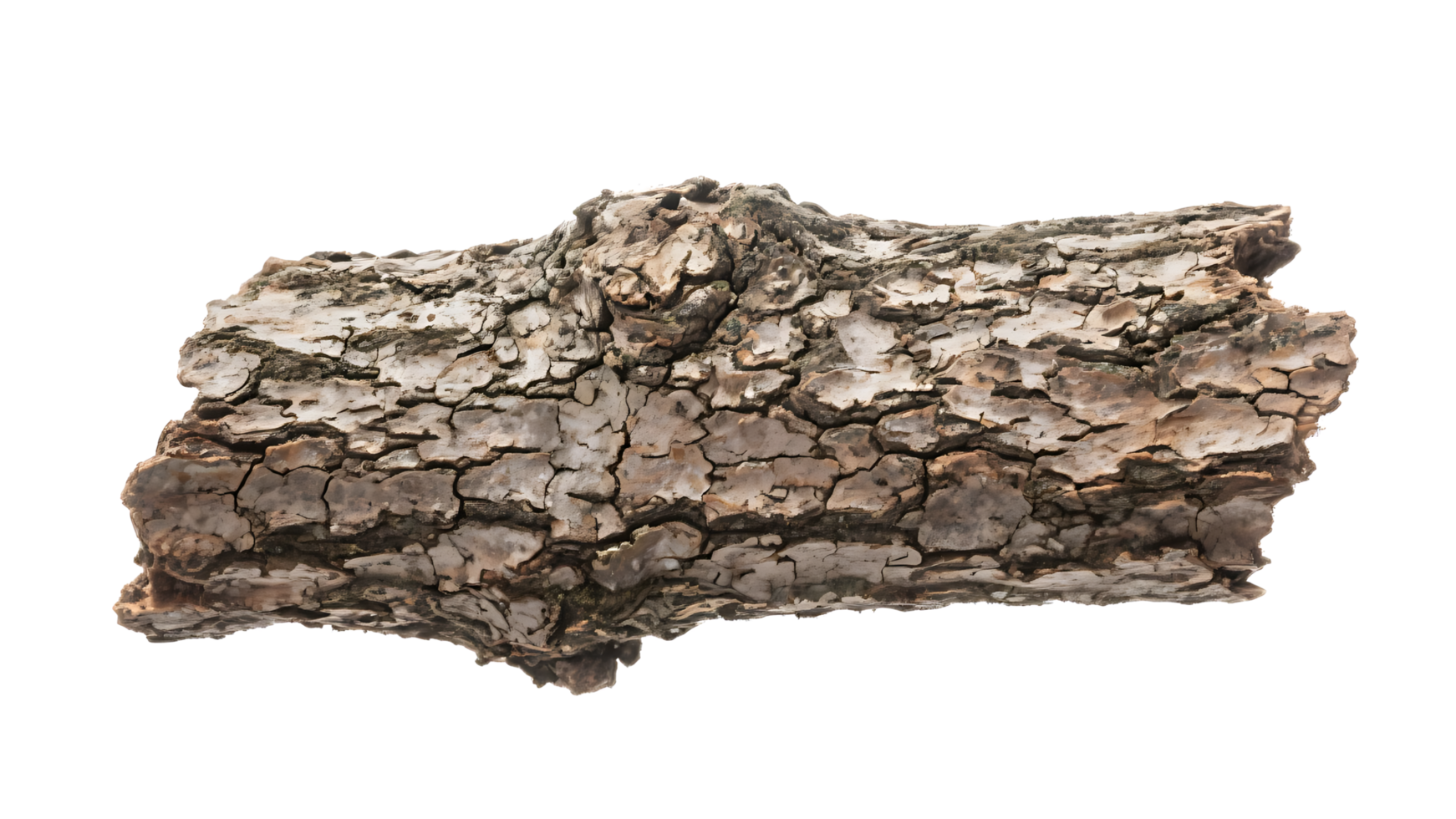Transparent of Tree Bark Texture, Detailed Close-up of Rough, Cracked Tree Bark with Neutral Brown and Gray Tones Isolated on Transparent Background for Design Elements png