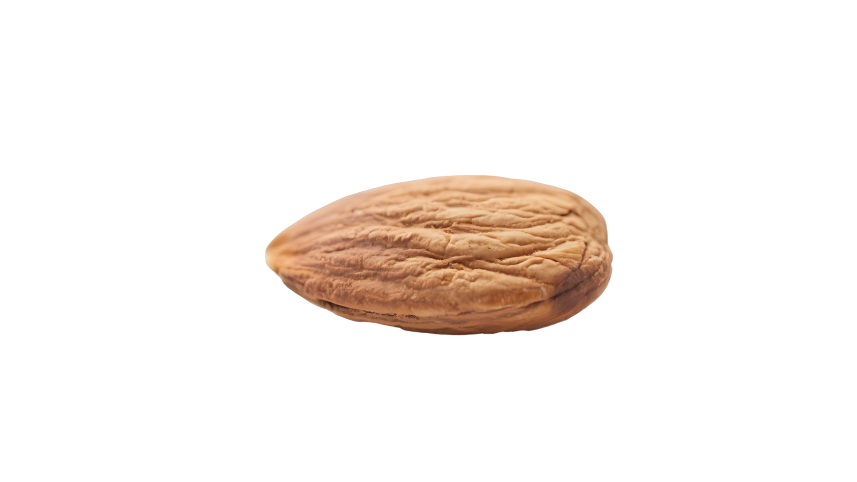 Transparent Almond, Single Peeled Almond Nut Isolated on Transparent Background, High-Resolution Image for Food Design and Packaging png