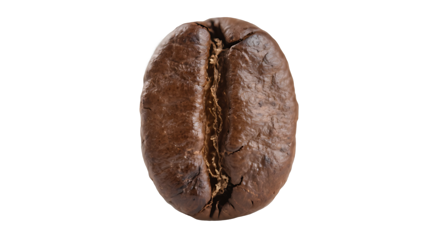Transparent of Roasted Coffee Bean, Close-up Detailed Image of a Single Dark Brown Coffee Bean Isolated on a Transparent Background, Ideal for Coffee-Themed Designs and Packaging png