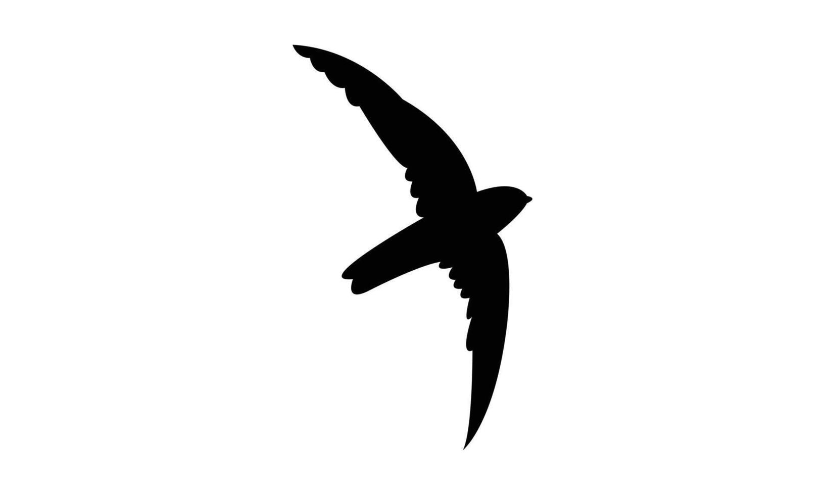 Flying Ameline swiftlet bird Silhouette Design And Illustration. vector
