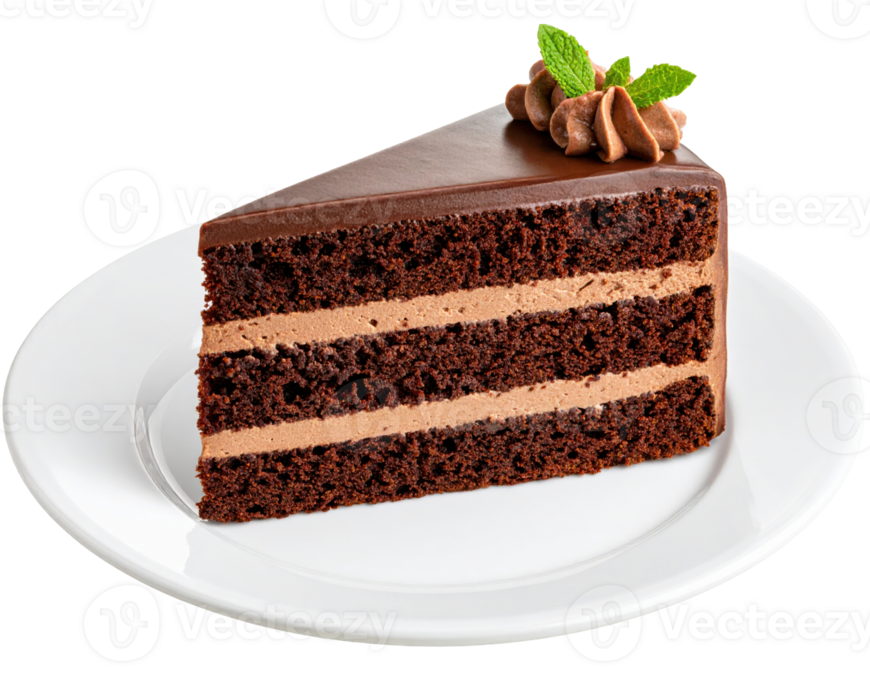 Decadent chocolate layer cake slice with rich frosting, coffee beans and mint garnish on white plate png