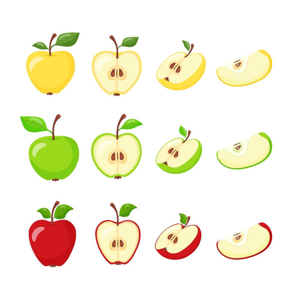 Set of fruit illustrations of apples green, yellow, red. Apples in section. Hand drawn. vector